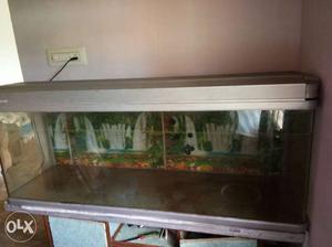 Fish tank for sale with stand and motor and top 5