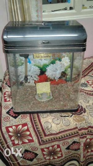 Fish tank with filter and stone at good condition