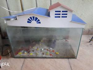 Fish tank with oxygen pump and filter, stones and