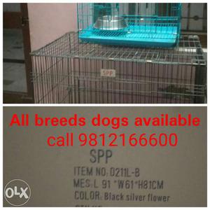 Green And Black Metal Pet Cages