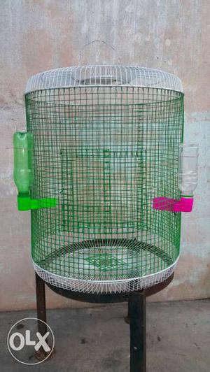 Green And White Wire Birdcage