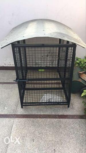 Green Steel Cage pinjra for dog