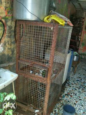 Hibi want 2 sell double door Cage of Persian cat