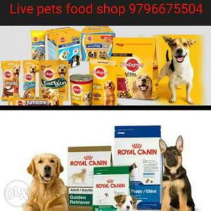 Live Pets Shop Channi Rama Jammu Near Wav Mall