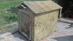 Pet house for dog