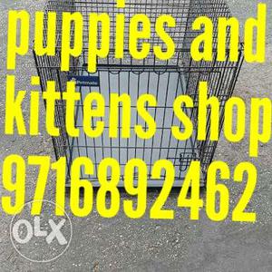 Pet shop for all ur needs with free home delivery
