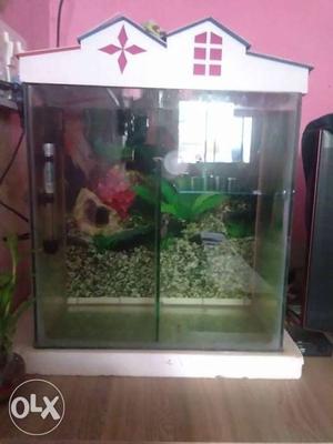 Rectangular White And Pink Wood Fish Tank
