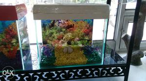 Small standard size aquarium only for rs...n