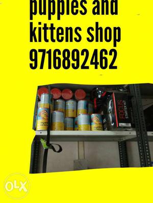 Top quality dogs and cats cages and all