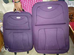 Two Travel Luggage Bags