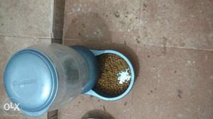 US imported cat feeder for rs  only