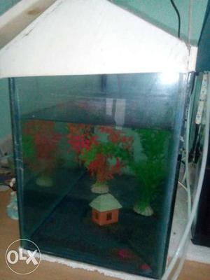 White Fish Tank