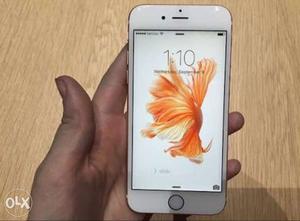 IPhone 6s Plus 128 GB at unbelievable Price