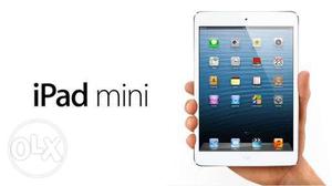 Ipad mini1 16 GB storage Good Quality Price non