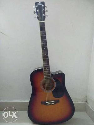 Acoustic Guitar. brand - pluto. in new condition.