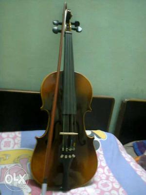 Hi, I want to sell my Violin. It's in excellent