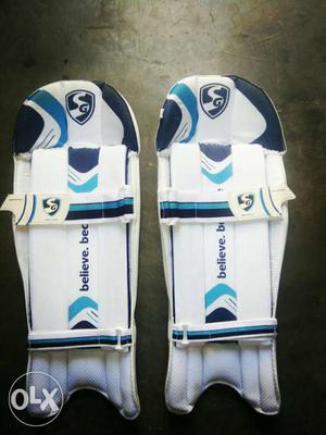 Pair Of Blue-and-white Leg Pads