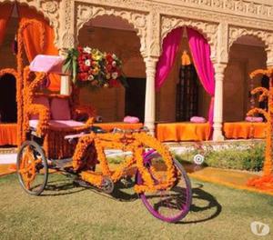 Best wedding planner for your wedding within your budget.