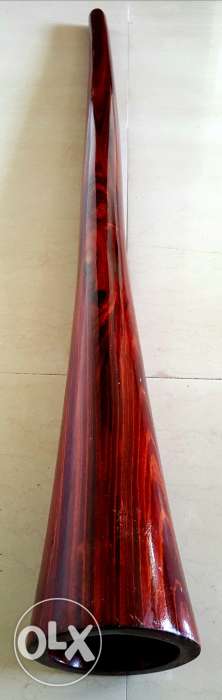 Didgeridoo musical instrument