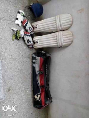 SG cricket Kit