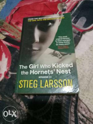 The Girl Who Kicked The Hornet's Nest Book
