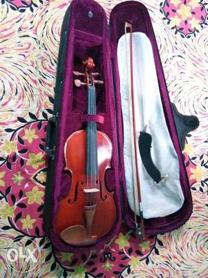 Violin Music Instrument - German