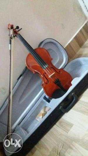 Violin in extremely good condition,used only for