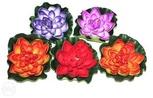 New floatng flower rs 50 each