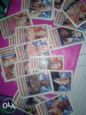 51 cards of WWE