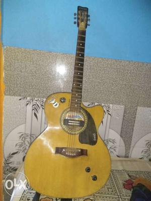 Semi Electric Guitar with bag. Good Condition very good