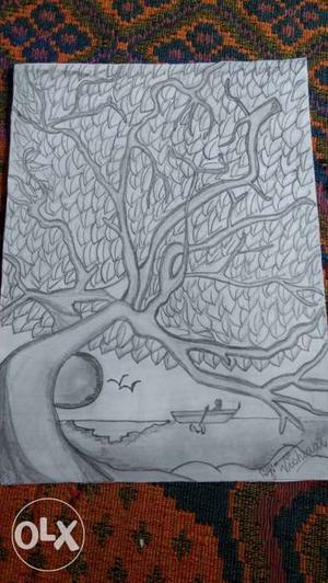 Sketch of an natural evening with beauty of a tree