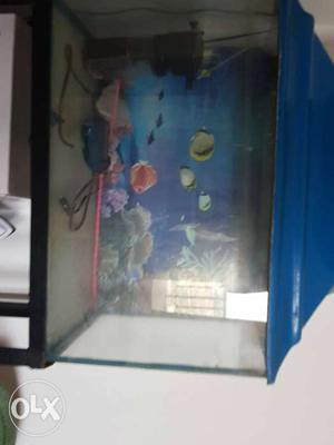 2.5 ft aquarium tank with filter air pu.p and