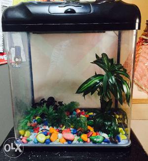 2 year old Aquarium in excellent condition.