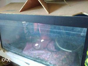 3 feet Aquarium for sell with Roof,stone, Filter