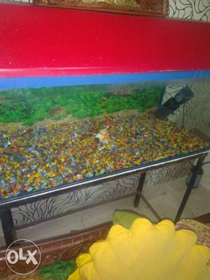 3×2`` fish aquarium with stand with all item