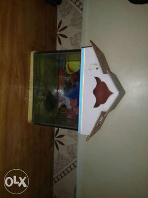 3ft fish tank