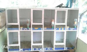 6 / 4 Feet 6 Room Cage for Sale each one cage 2/2