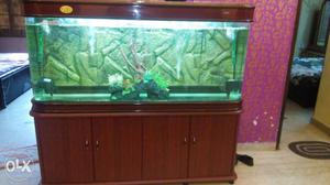 6 feet aquarium for sale with 3d