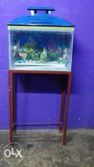 Aquarium fish Tank with Steel Cap and stand