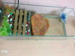 Aquarium in rectangular size only 2 months old