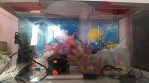 Beautiful aquarium for sale. Top with light, with