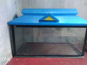 Black Frame With Blue Roof Fish Tank