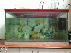 Brown Frame Rectangular Fish Tank