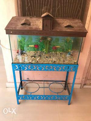 Brown Hood Pet Tank With Blue Stand