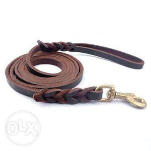 Dog show leash for leather