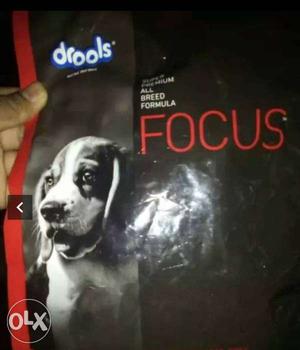 Drools Focus Dog