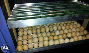 Egg incubator in Kerala, malappuram