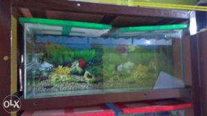 Fish Tank ! Sale