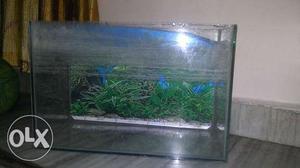 Fish Tank With Motor For Sale!!