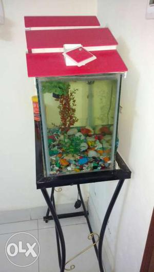 Fish aquarium for sale,